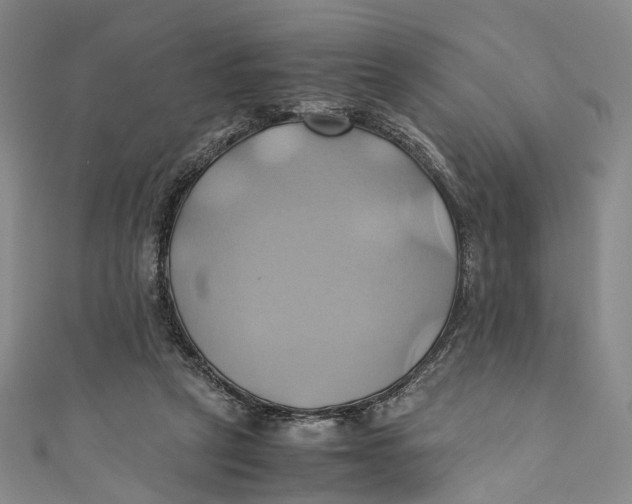 X0000110970257200907101354