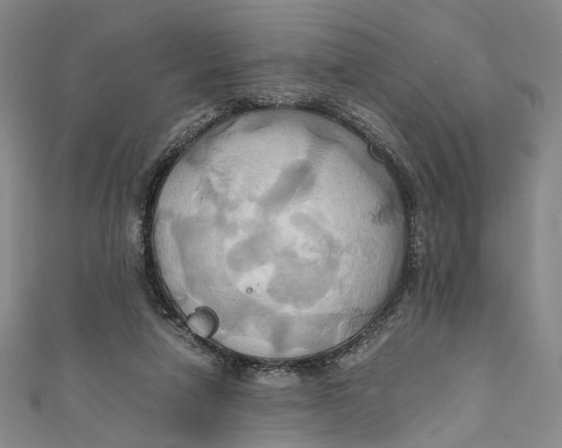 X0000110970258200907101354
