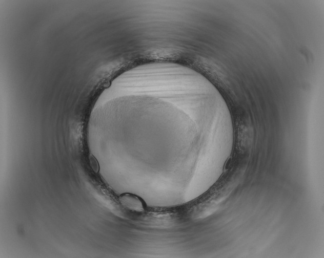 X0000110970260200907101354