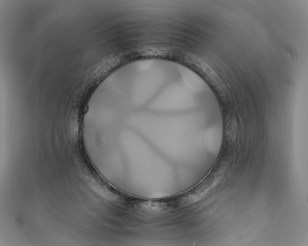 X0000110970261200907101354