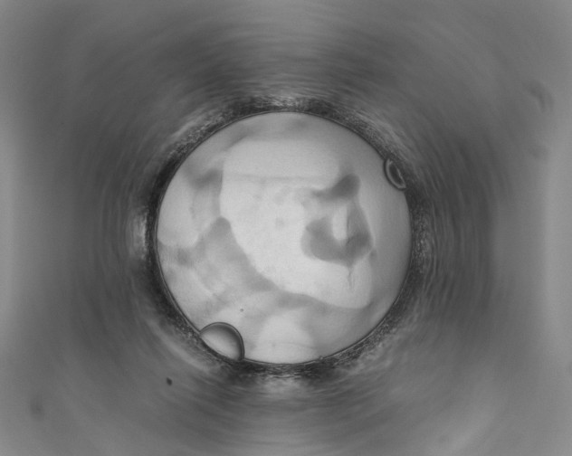 X0000110970262200907101354