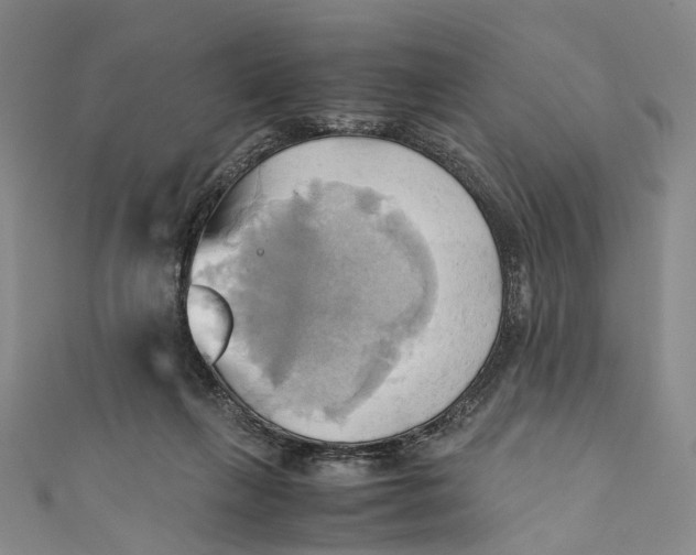 X0000110970263200907101354