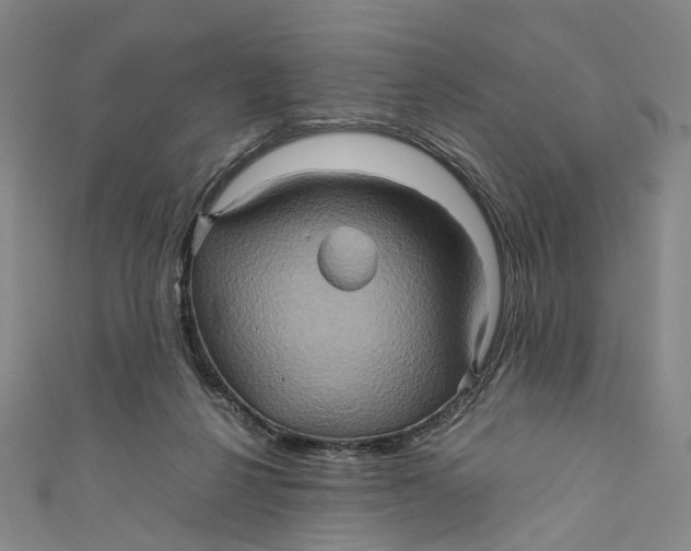 X0000110970264200907101354