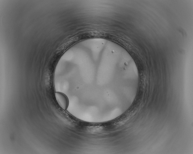X0000110970266200907101355