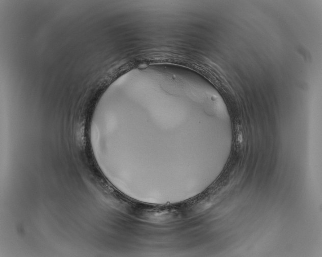 X0000110970267200907101355