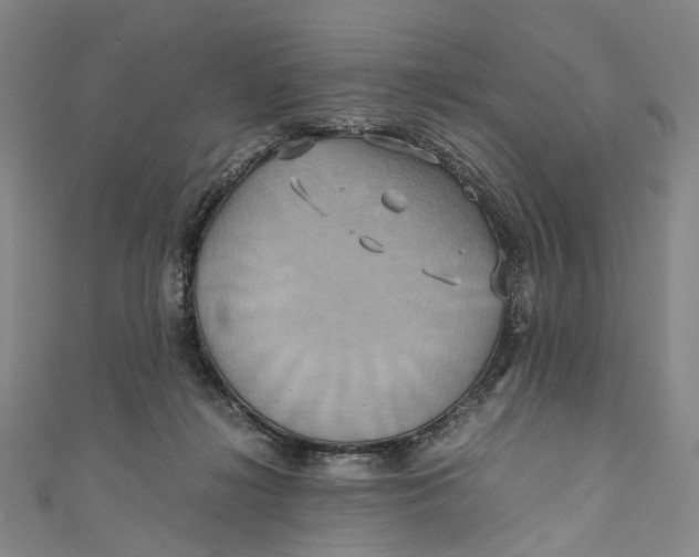 X0000110970268200907101355
