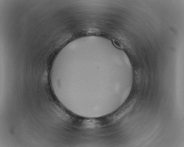 X0000110970269200907101355