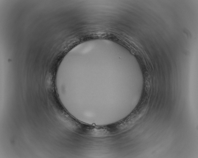 X0000110970270200907101355