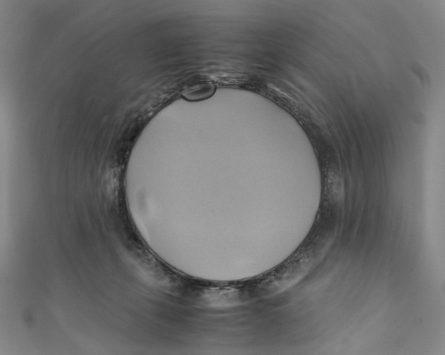 X0000110970271200907101355