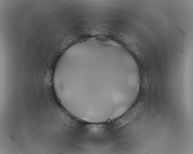 X0000110970273200907101355