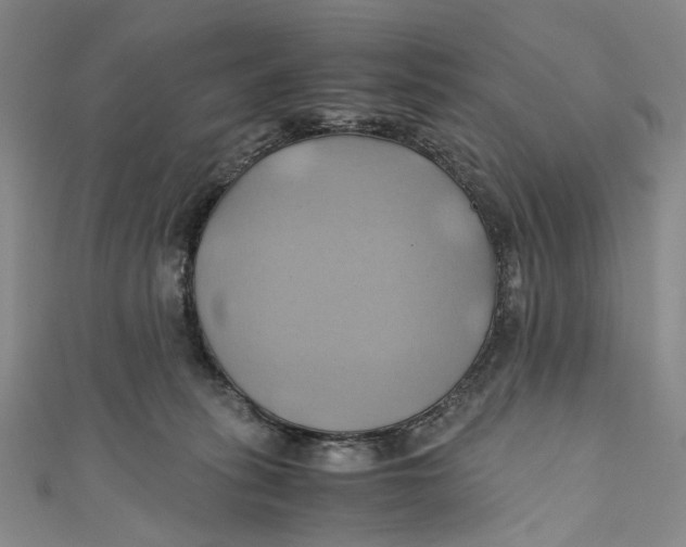 X0000110970275200907101355