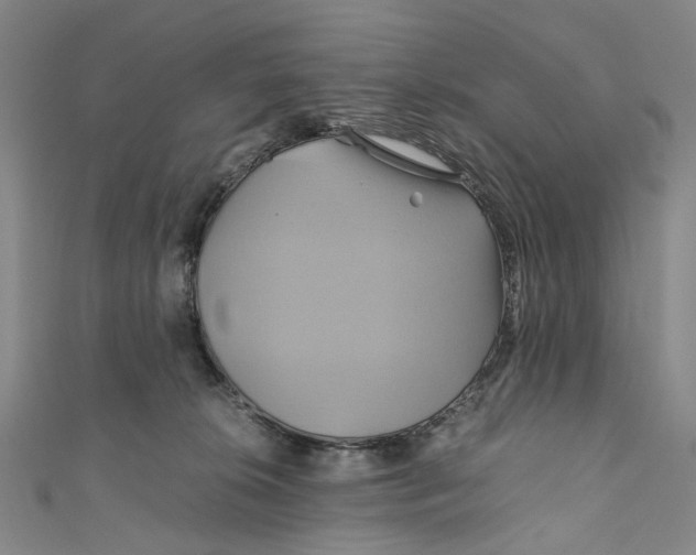 X0000110970276200907101355