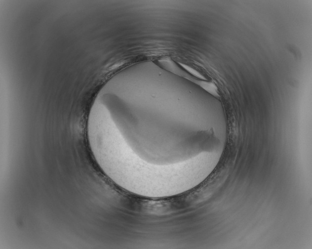 X0000110970277200907101355