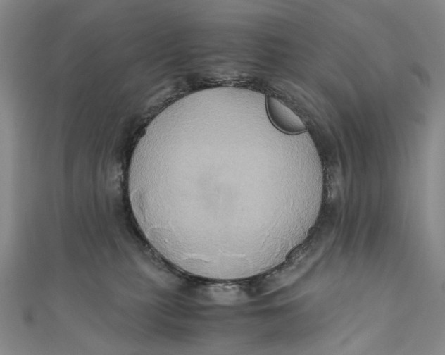 X0000110970279200907101355