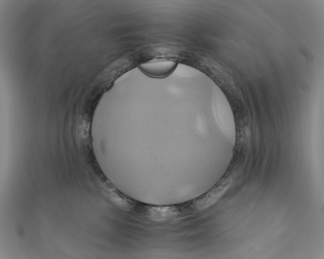 X0000110970281200907101355