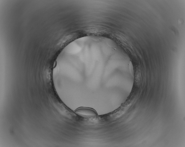 X0000110970282200907101355