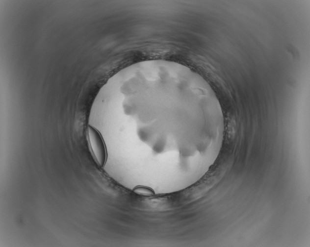 X0000110970283200907101355