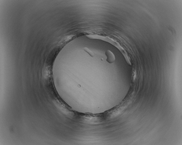 X0000110970284200907101355