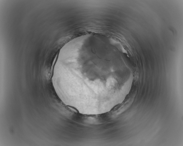 X0000110970285200907101355