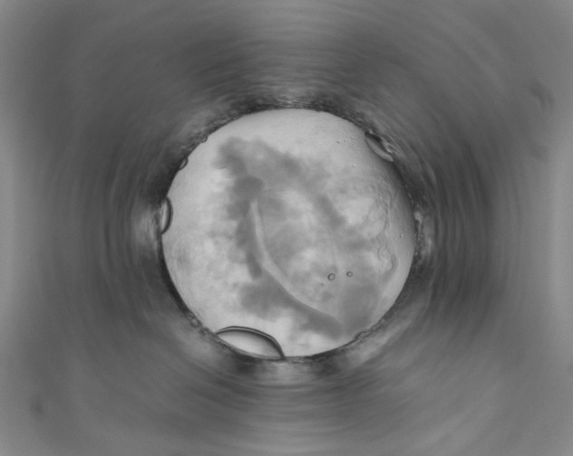 X0000110970286200907101355