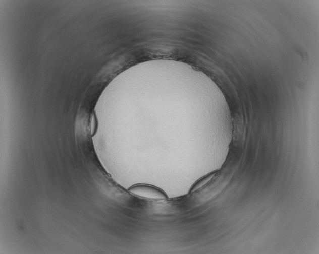 X0000110970287200907101355