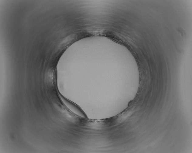 X0000110970288200907101355