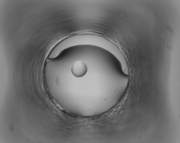 X0000110970289200907101354