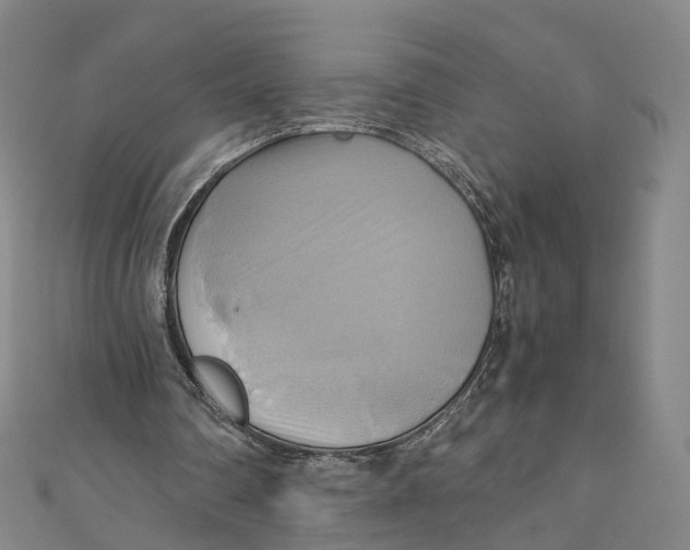 X0000110970290200907101354