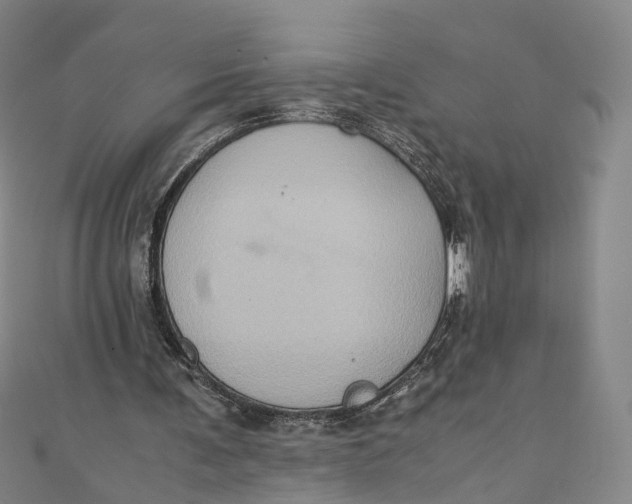 X0000110970291200907101354