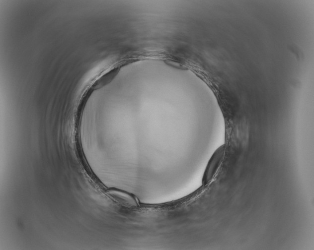 X0000110970293200907101354