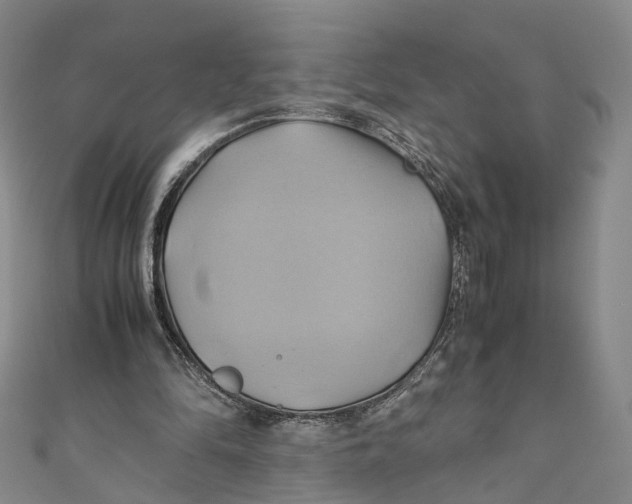 X0000110970294200907101354