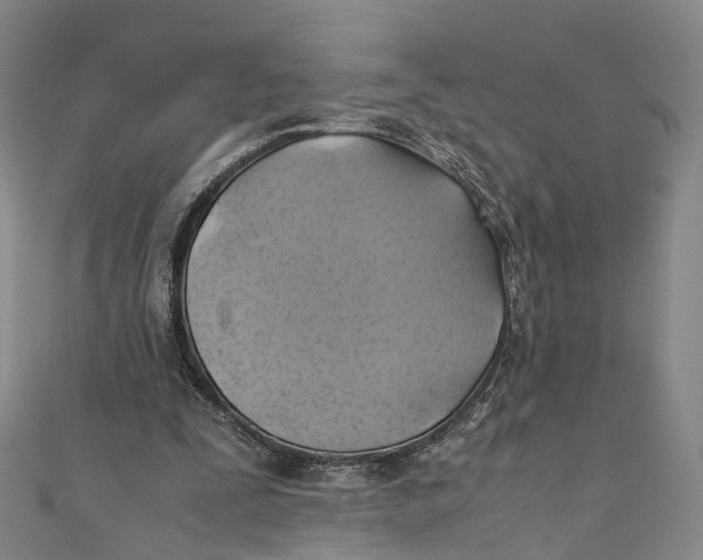 X0000110970295200907101354