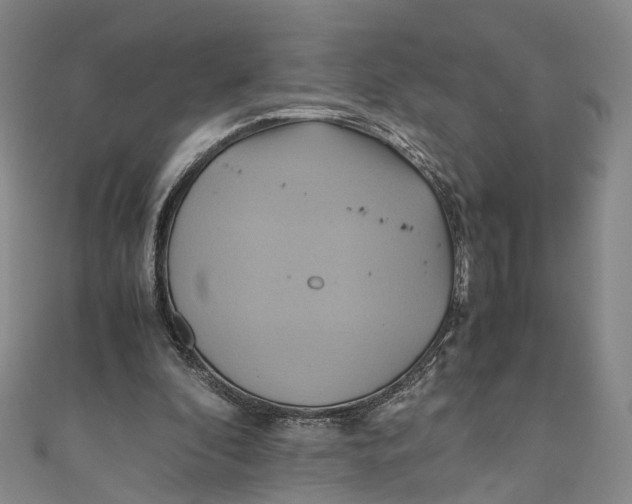 X0000110970296200907101354