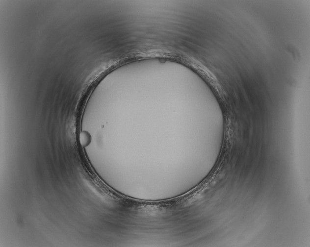 X0000110970298200907101354