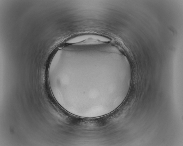 X0000110970299200907101354