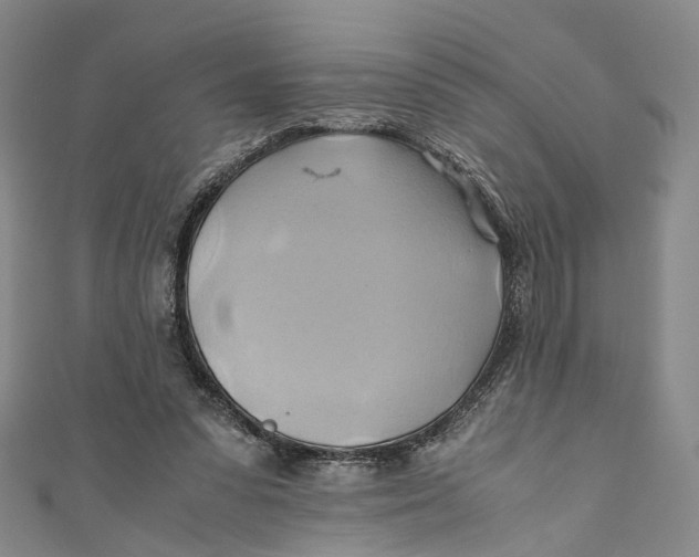 X0000110970303200907101354