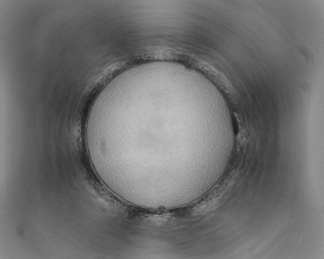 X0000110970306200907101354