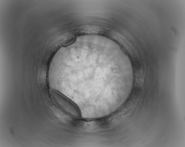 X0000110970309200907101354