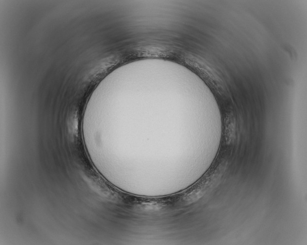 X0000110970310200907101354