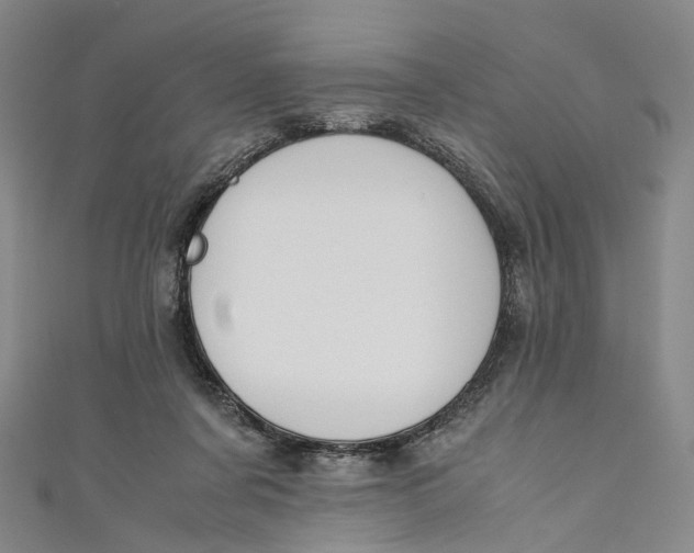 X0000110970311200907101354