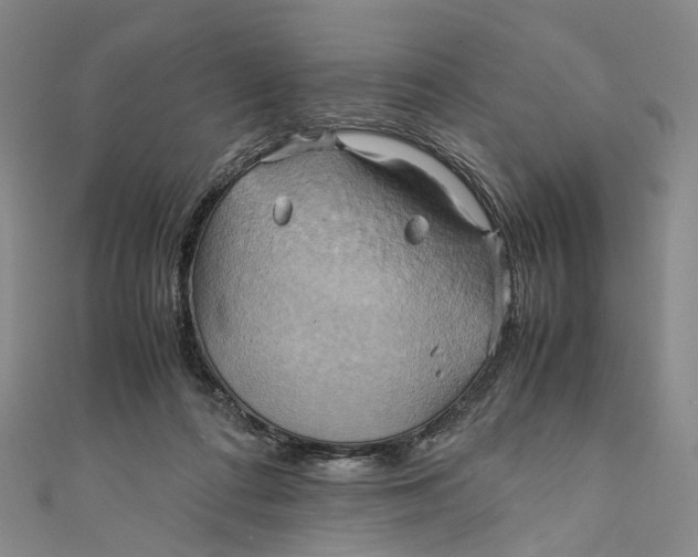 X0000110970312200907101354