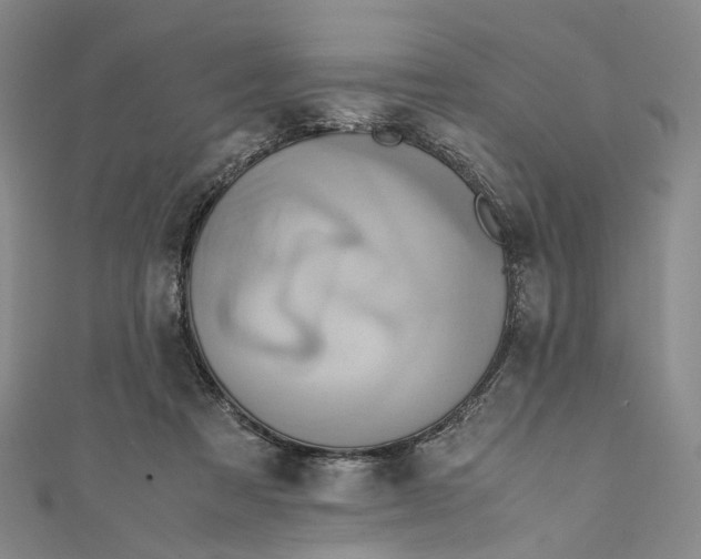 X0000110970313200907101354