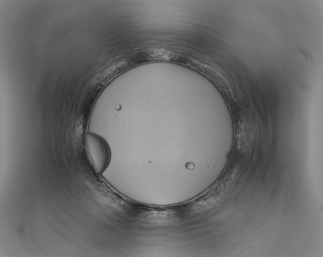 X0000110970314200907101354