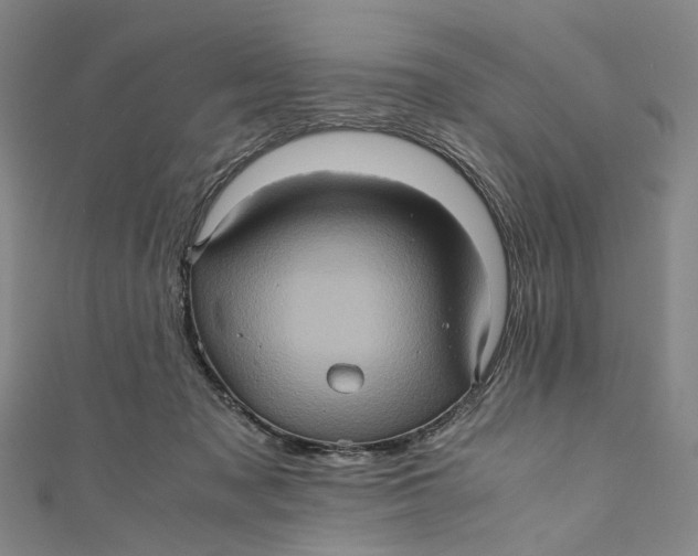 X0000110970317200907101354