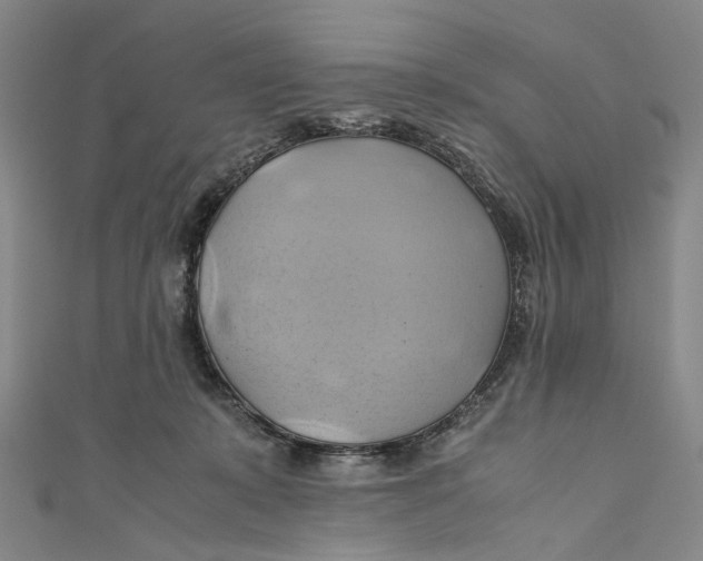 X0000110970319200907101354