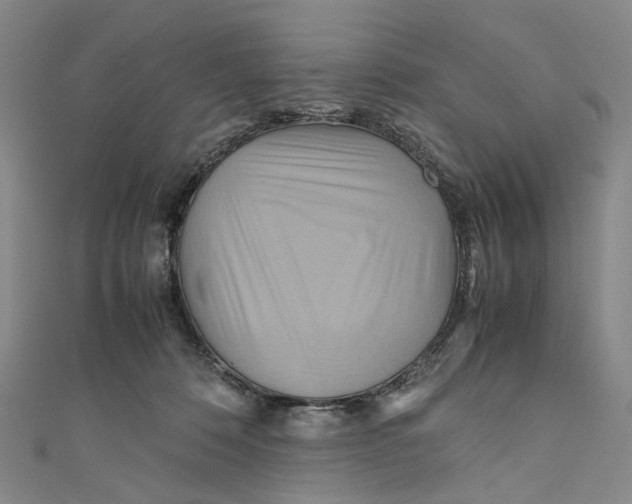 X0000110970320200907101354