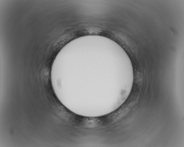 X0000110970321200907101354