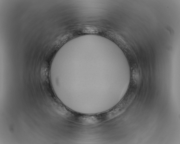 X0000110970322200907101354