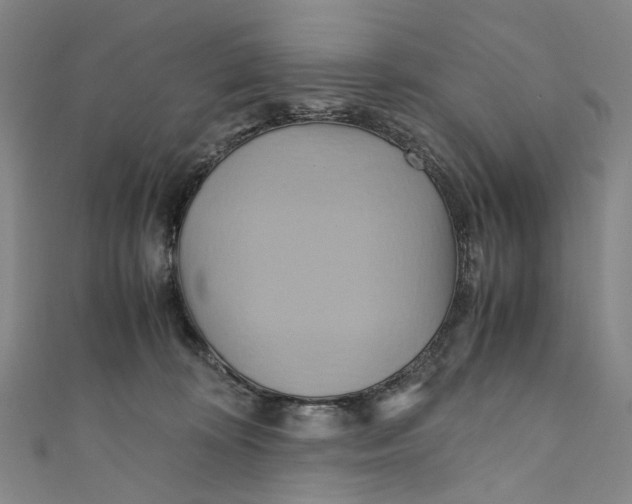 X0000110970324200907101354