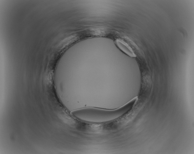 X0000110970325200907101354